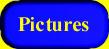 Pictures